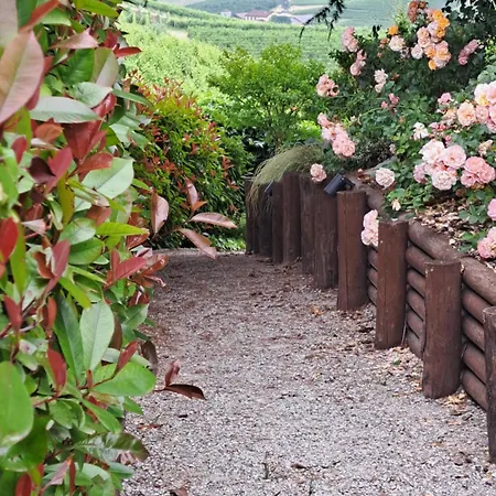 Cannubi San Lorenzo Appartement Barolo