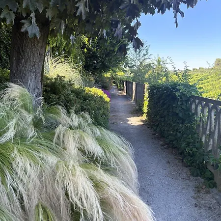 Cannubi San Lorenzo Barolo