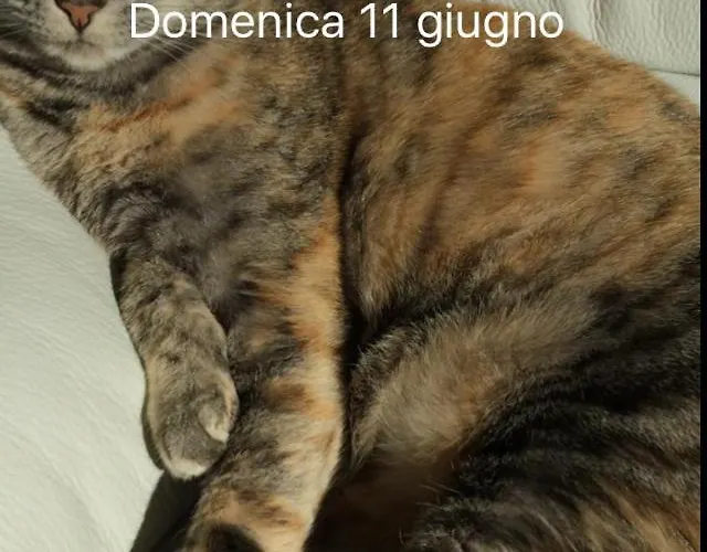 Apartment Cannubi San Lorenzo Barolo